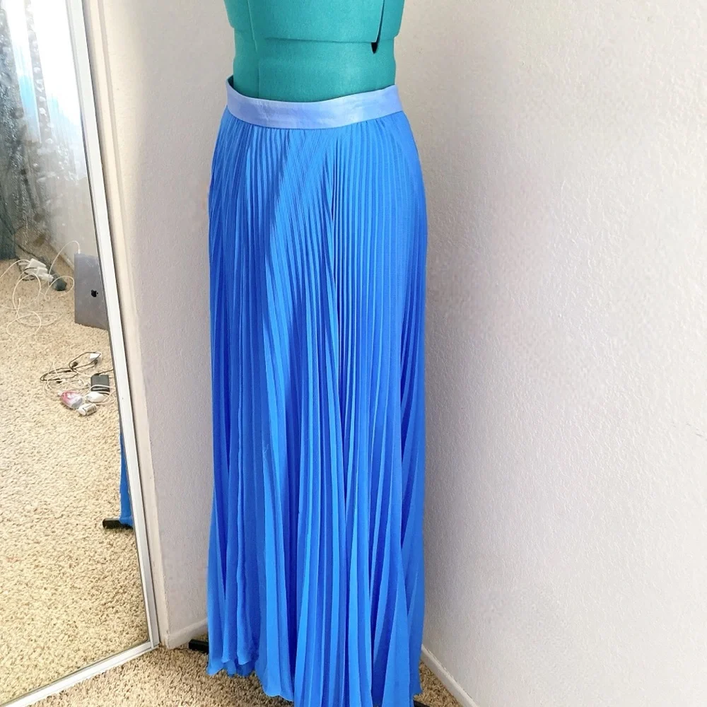 Blue Chiffon Pleated Alice + Olivia Maxi Skirt Size 4 - Picture 5 of 7